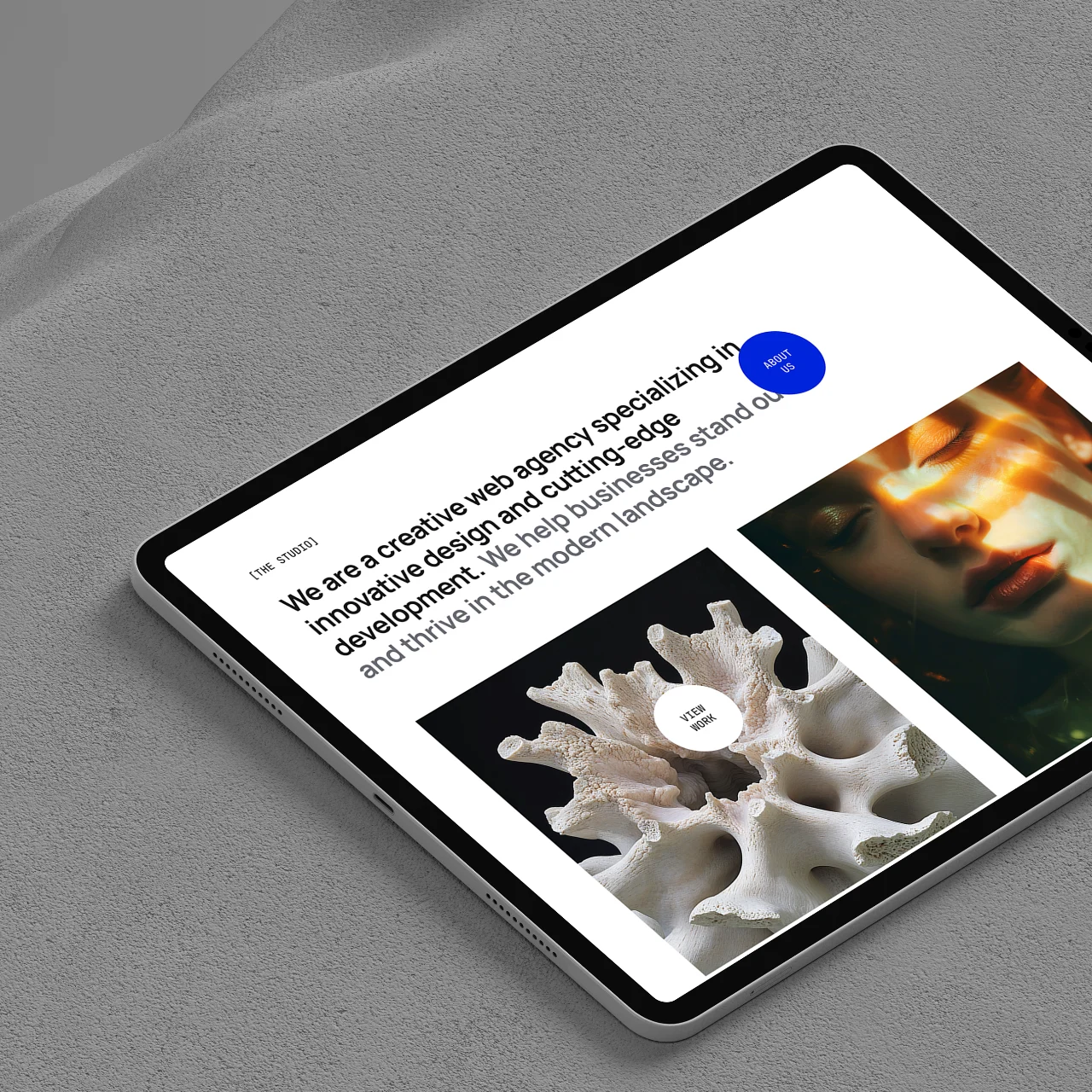 Project Preview Image