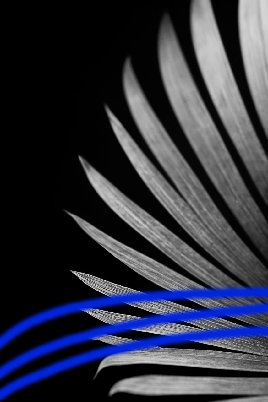 Project Preview Image